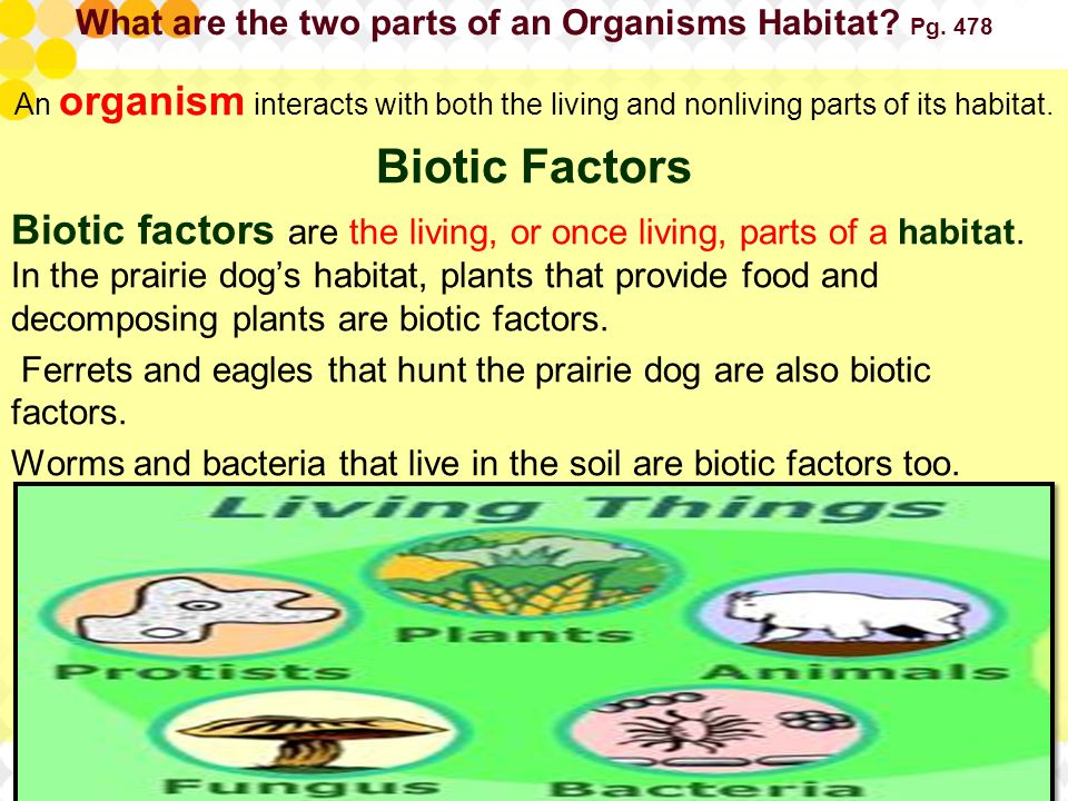 What are the two parts of an Organisms Habitat Pg. 478
