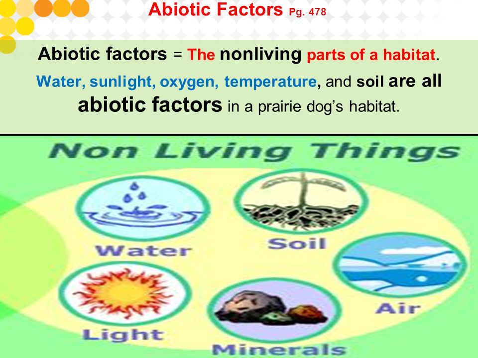 Abiotic factors = The nonliving parts of a habitat.