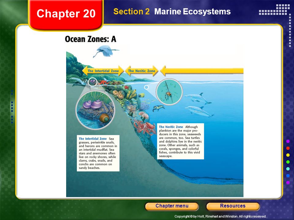 Chapter 20 Section 2 Marine Ecosystems