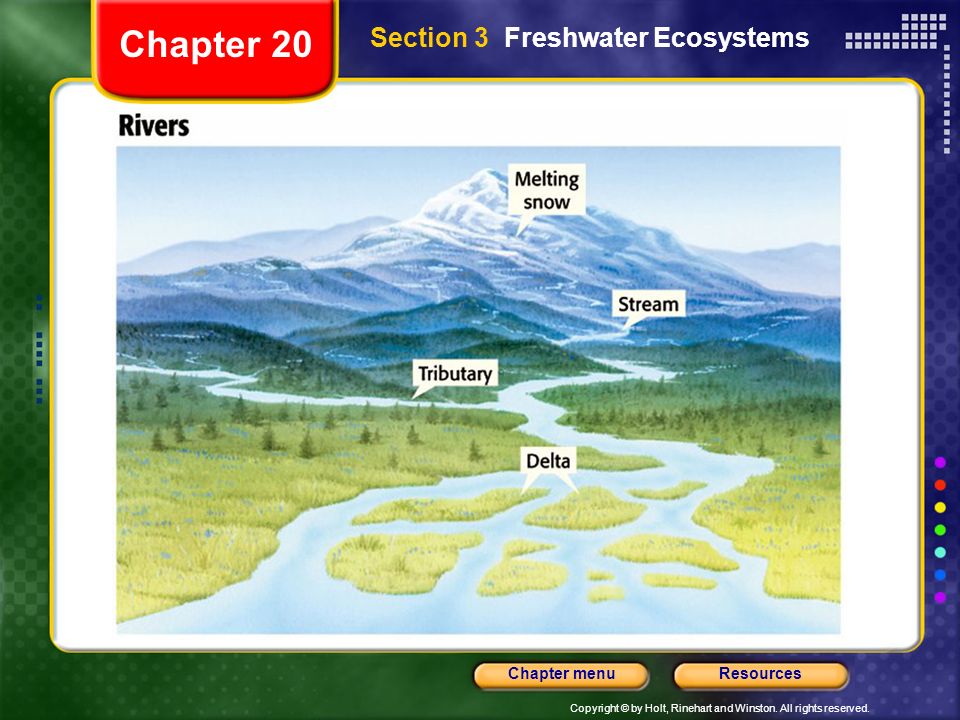 Chapter 20 Section 3 Freshwater Ecosystems