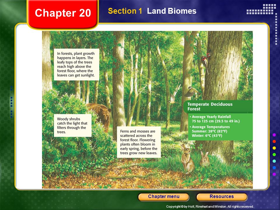 Chapter 20 Section 1 Land Biomes
