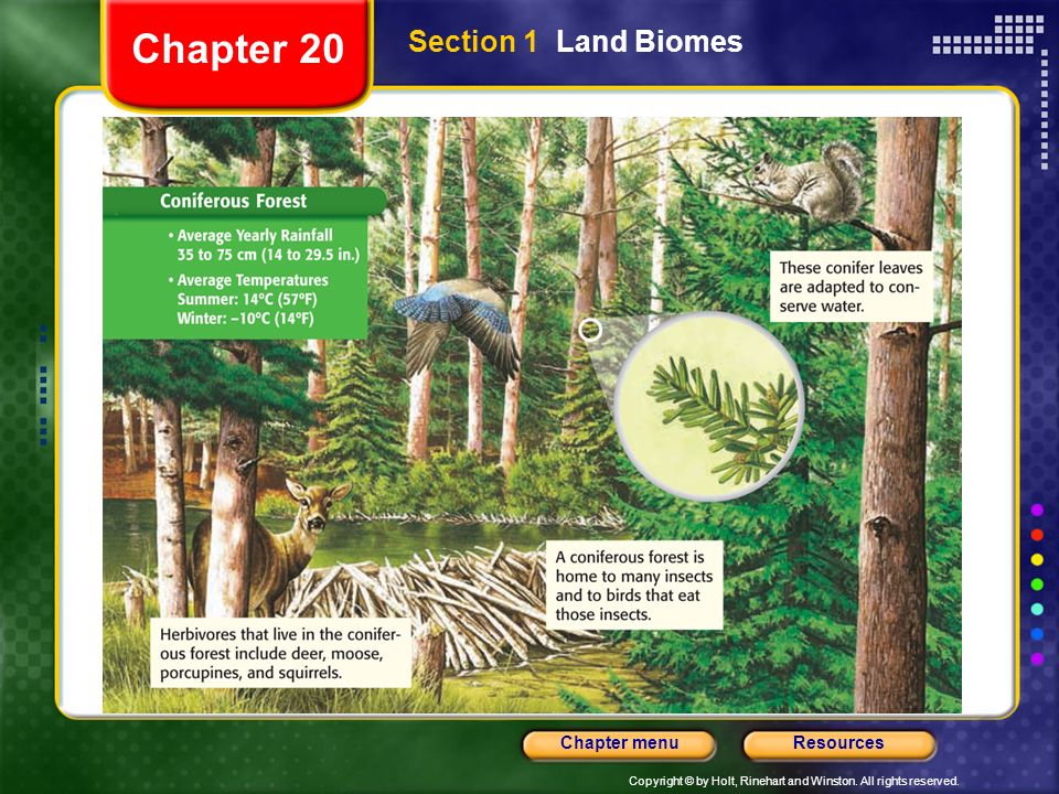 Chapter 20 Section 1 Land Biomes