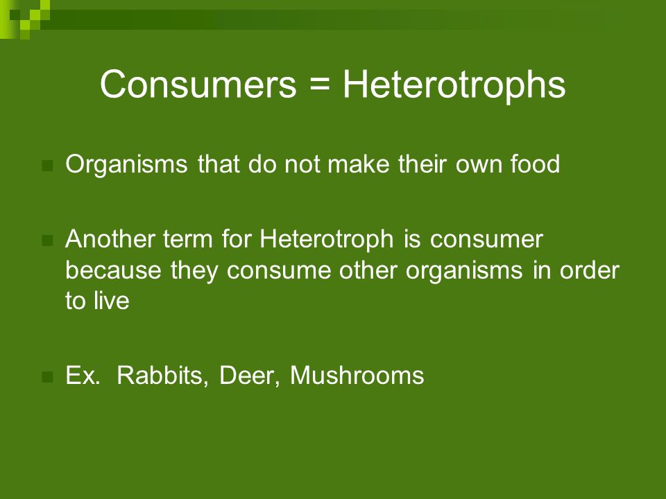 Consumers = Heterotrophs