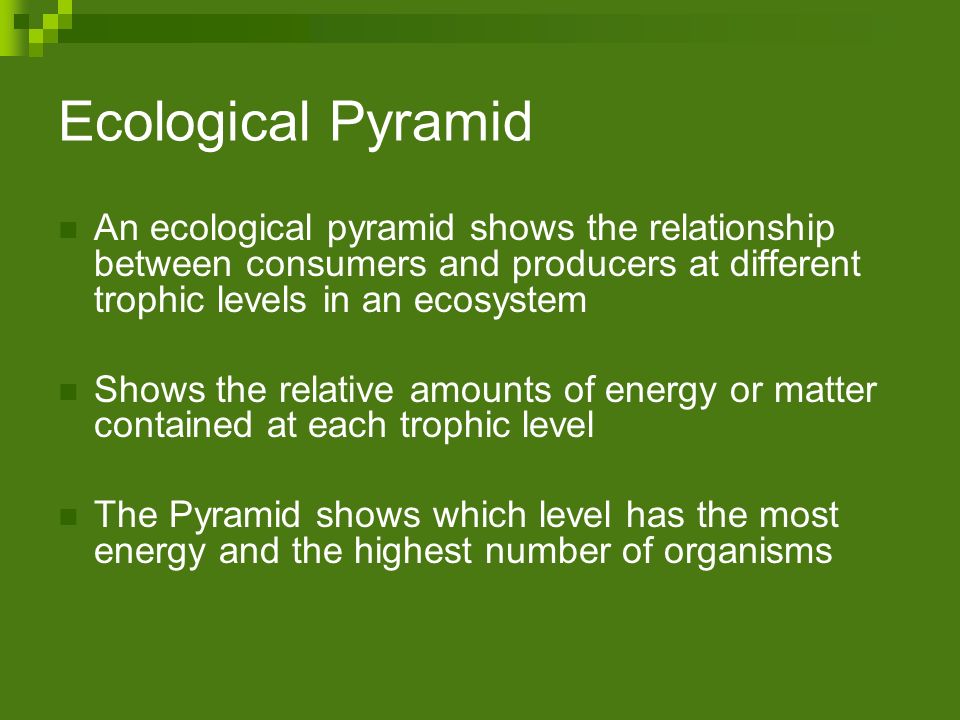 Ecological Pyramid An ecological pyramid shows the relationship between consumers and producers at different trophic levels in an ecosystem.