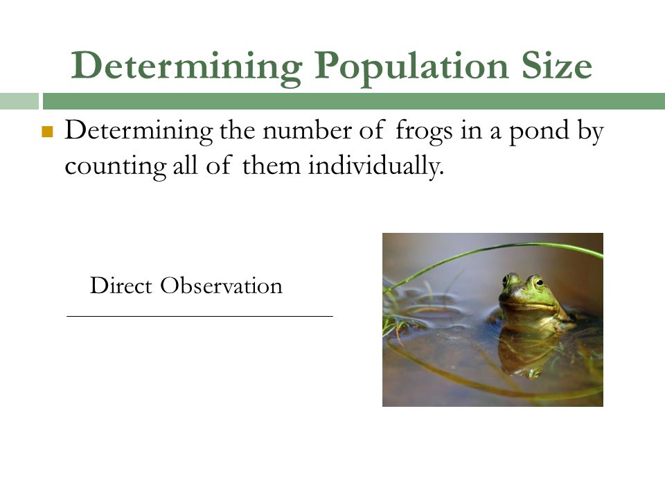 Determining Population Size