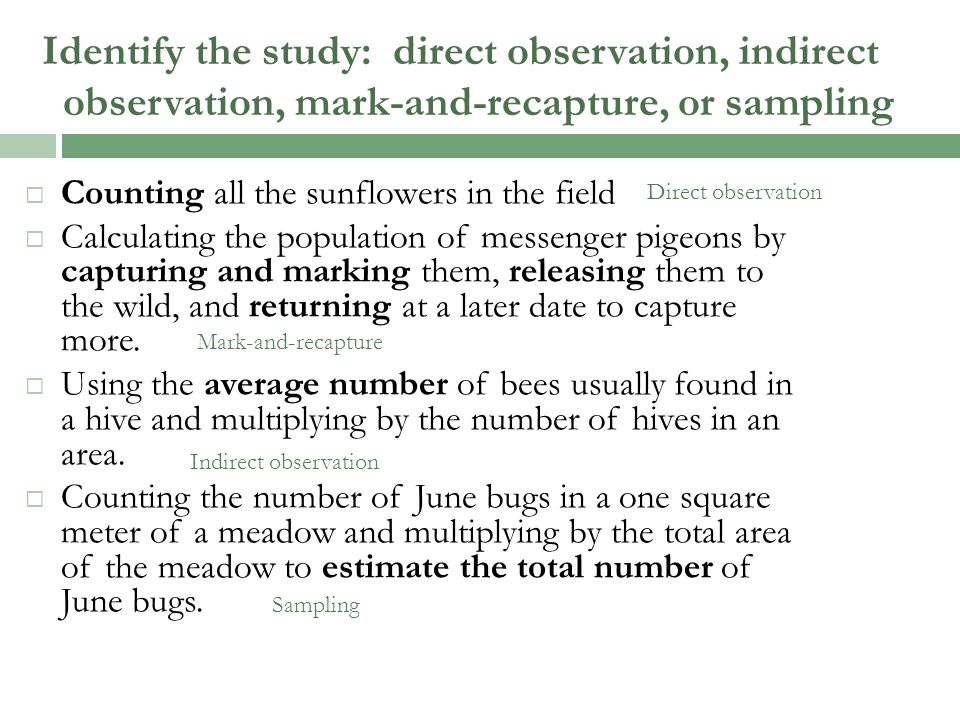 Identify the study: direct observation, indirect observation, mark-and-recapture, or sampling