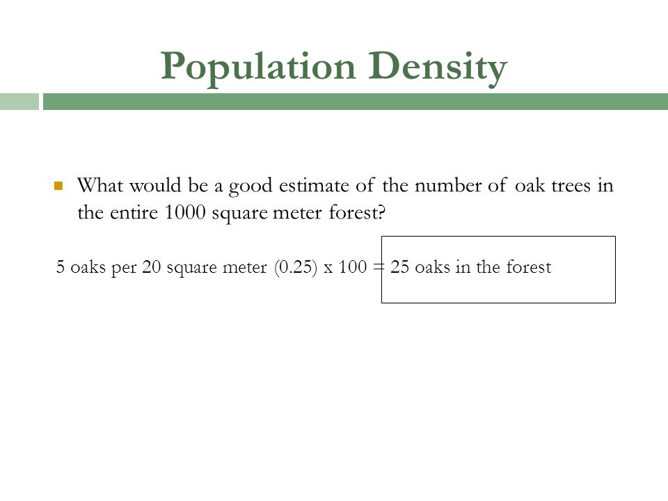 Population Density What would be a good estimate of the number of oak trees in the entire 1000 square meter forest