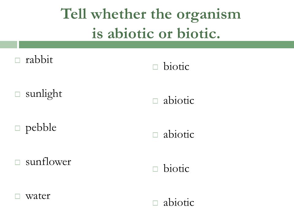 Tell whether the organism is abiotic or biotic.