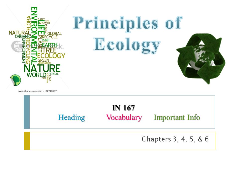 Principles of Ecology IN 167 Heading Vocabulary Important Info