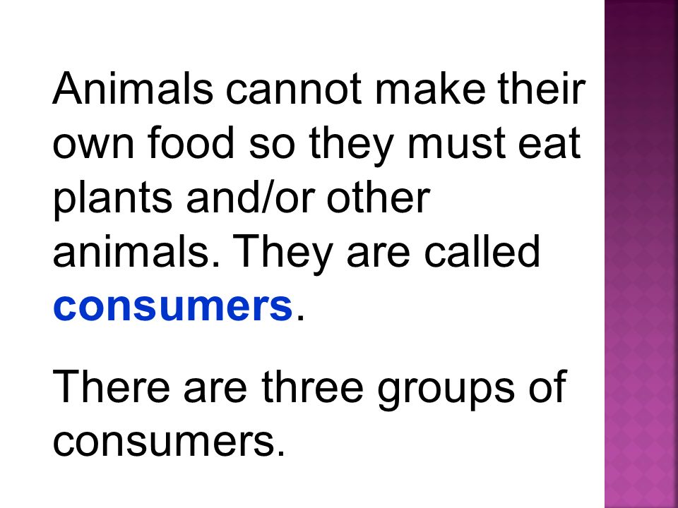 Animals cannot make their own food so they must eat plants and/or other animals. They are called consumers.