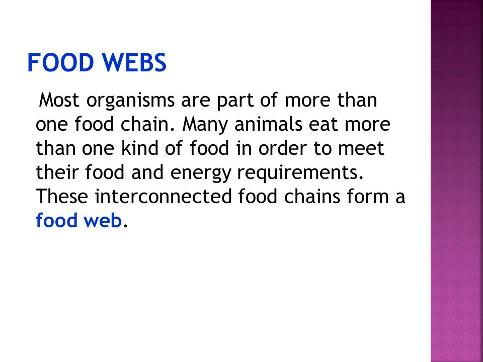 FOOD WEBS