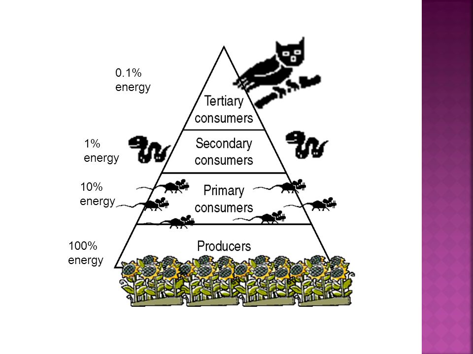 0.1% energy 1% energy 10% energy 100% energy