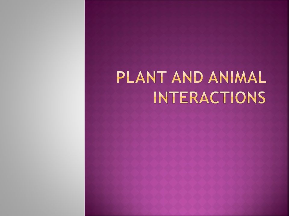Plant and animal interactions