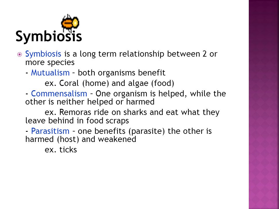 Symbiosis Symbiosis is a long term relationship between 2 or more species. - Mutualism – both organisms benefit.