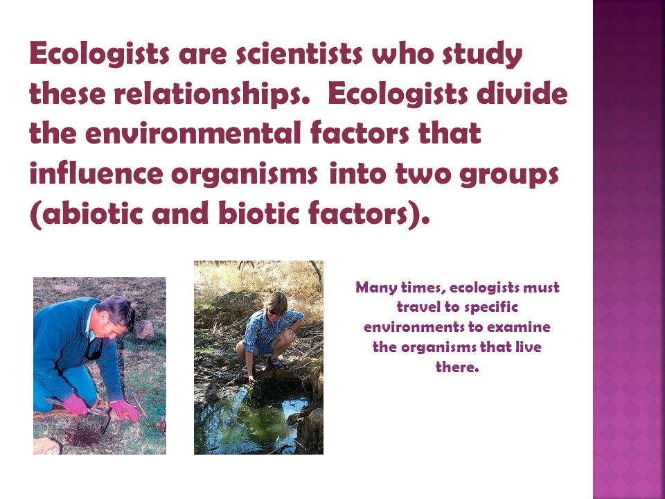 Ecologists are scientists who study these relationships