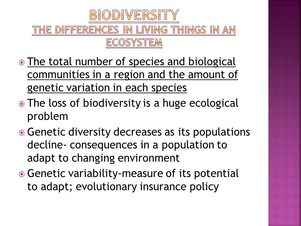 Biodiversity the differences in living things in an ecosystem