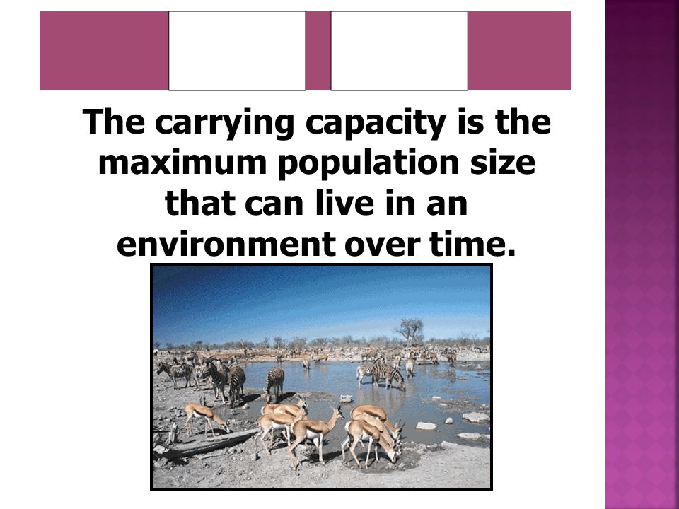 _______ _______ The carrying capacity is the maximum population size that can live in an environment over time.
