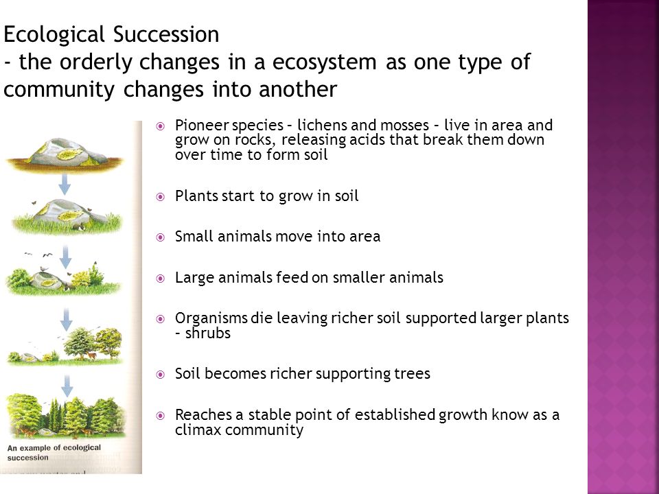 Ecological Succession - the orderly changes in a ecosystem as one type of community changes into another
