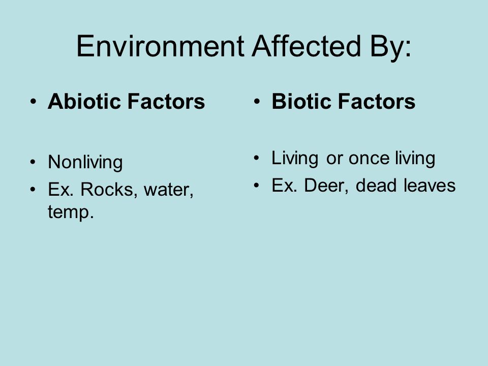 Environment Affected By: