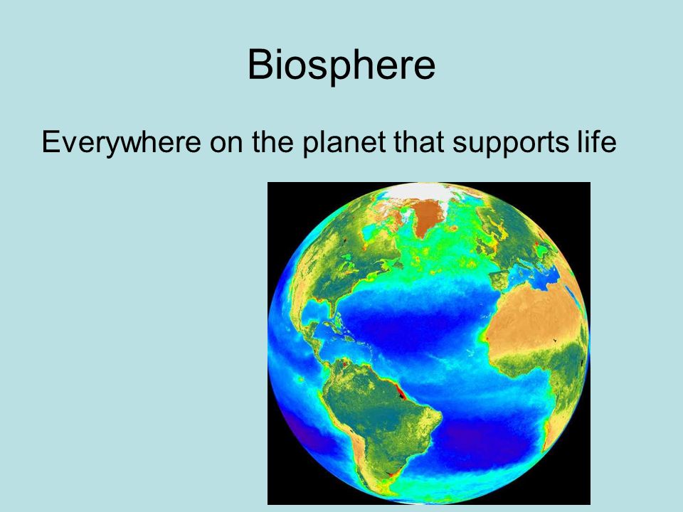 Biosphere Everywhere on the planet that supports life
