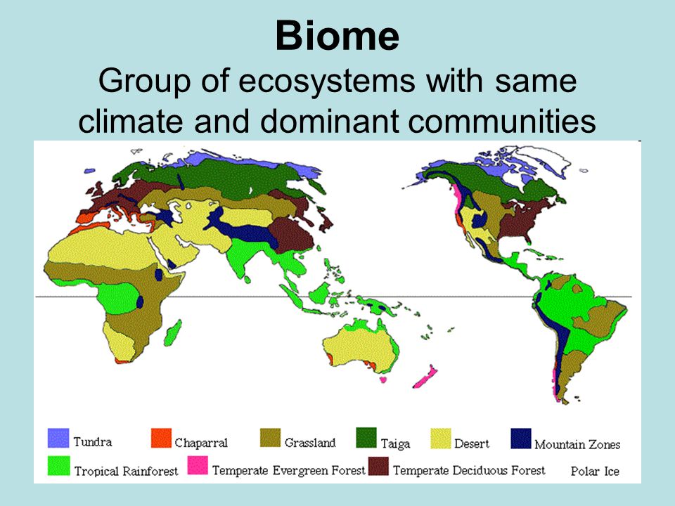 Biome Group of ecosystems with same climate and dominant communities