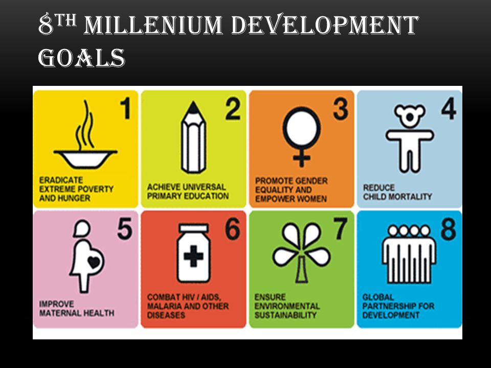 8th millenium development goals