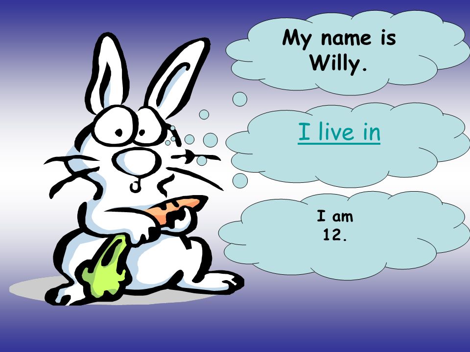 My name is Willy. I live in I am 12.
