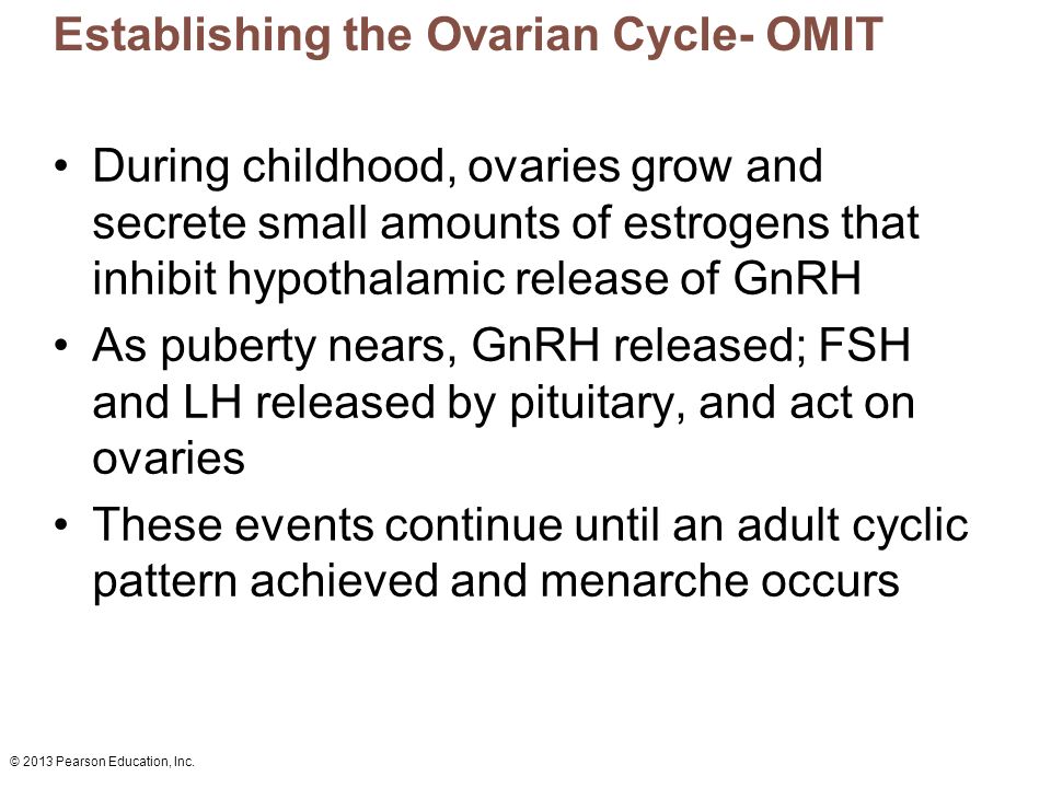 Establishing the Ovarian Cycle- OMIT