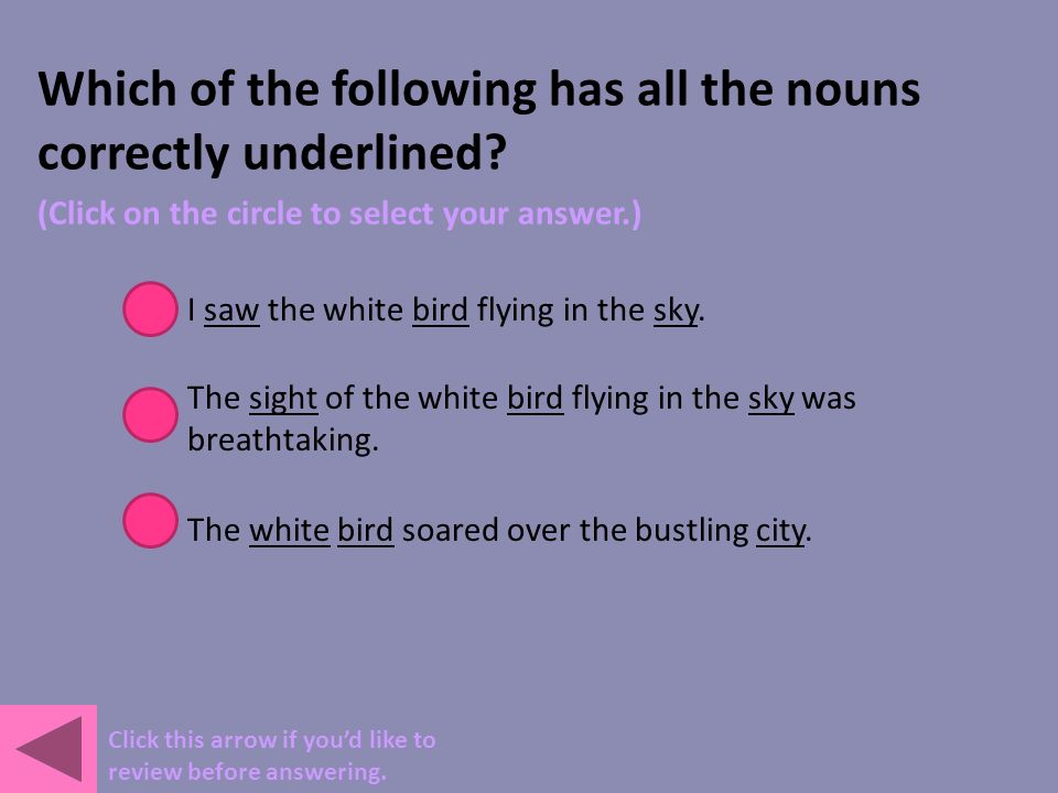 Which of the following has all the nouns correctly underlined