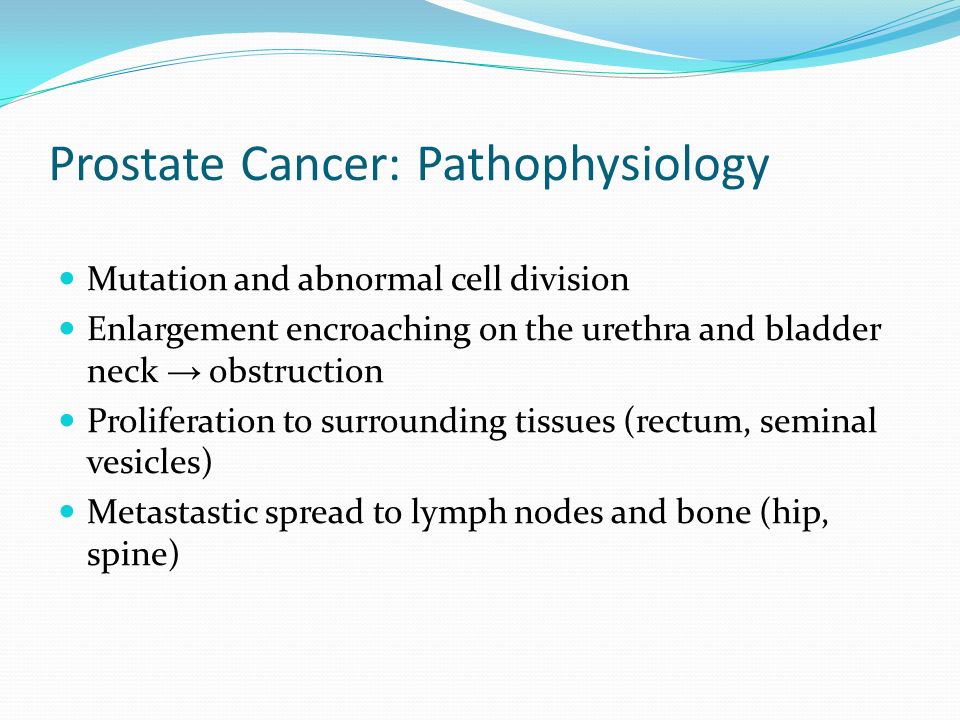 prostate cancer pathology ppt fajdalmas vizeles