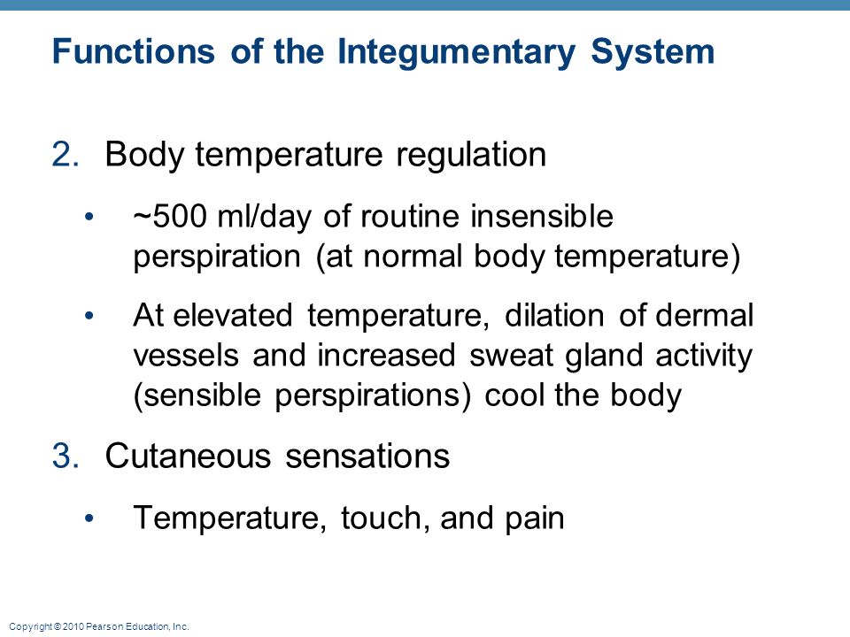 integumentary system and body temperature chapter 7