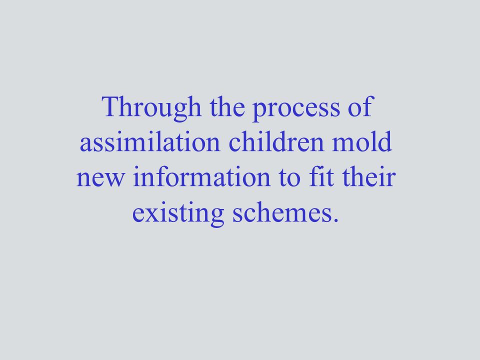 Through the process of assimilation children mold new information to fit their existing schemes.