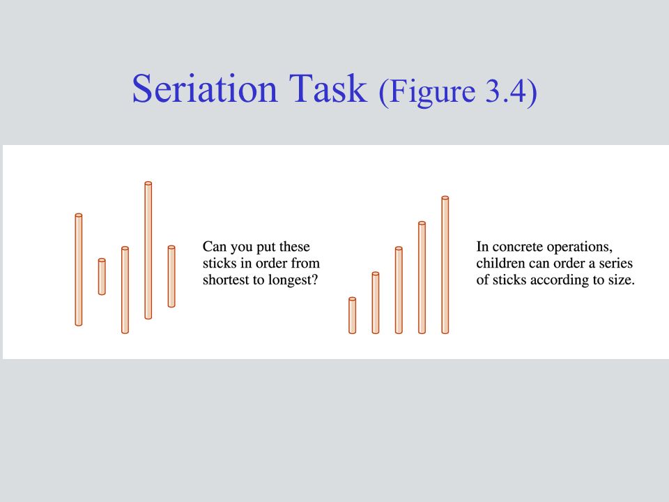 Seriation Task (Figure 3.4)