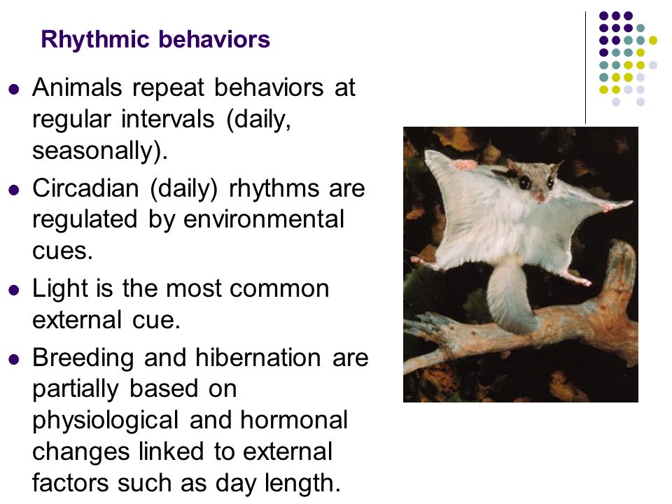 Behavior Chapter 51 (50). - ppt download Behavior Chapter 51 (50). - ppt download