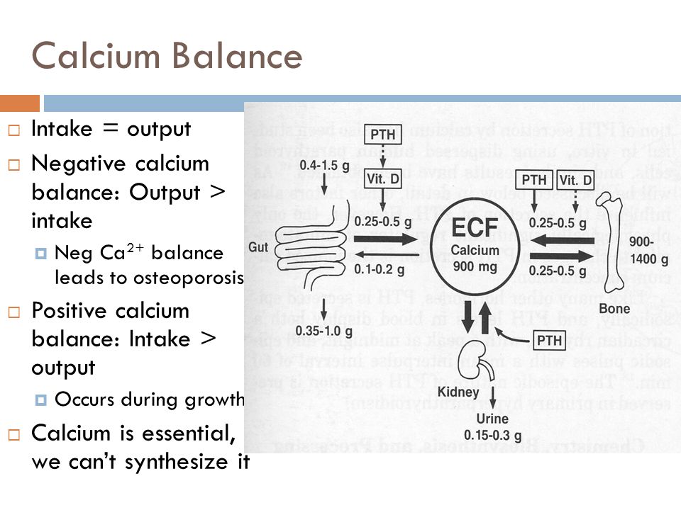 calcium and phosphate balance - ppt download
