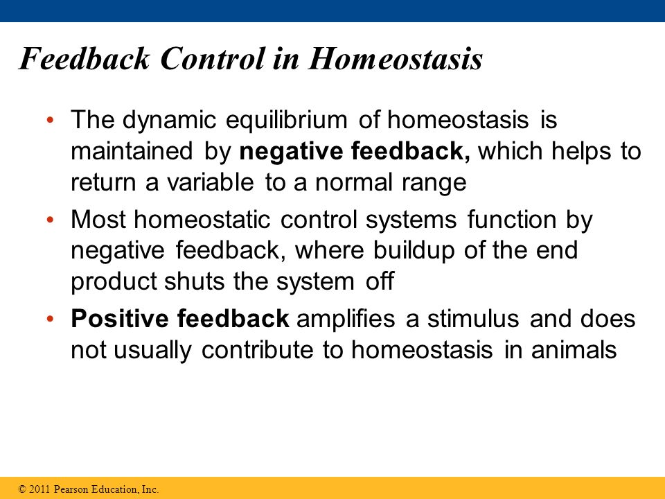 Feedback Control in Homeostasis