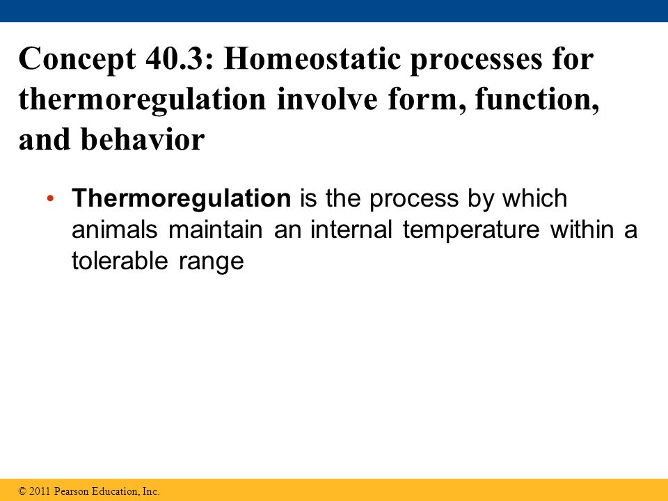 Concept 40.3: Homeostatic processes for thermoregulation involve form, function, and behavior