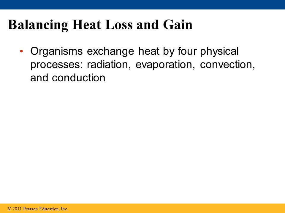 Balancing Heat Loss and Gain
