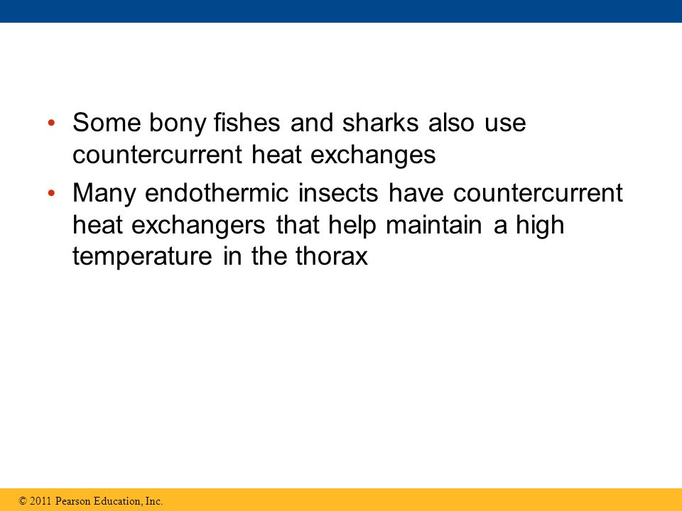 Some bony fishes and sharks also use countercurrent heat exchanges