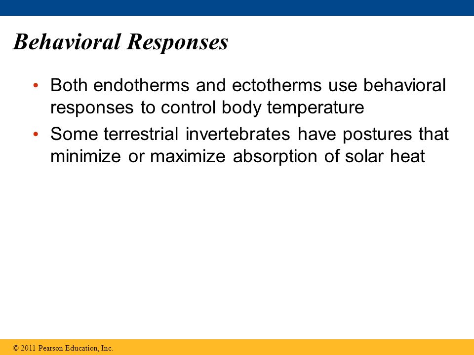 Behavioral Responses Both endotherms and ectotherms use behavioral responses to control body temperature.