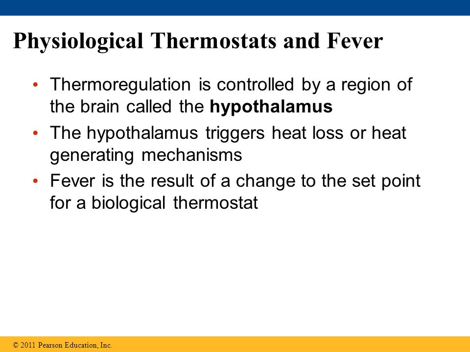 Physiological Thermostats and Fever