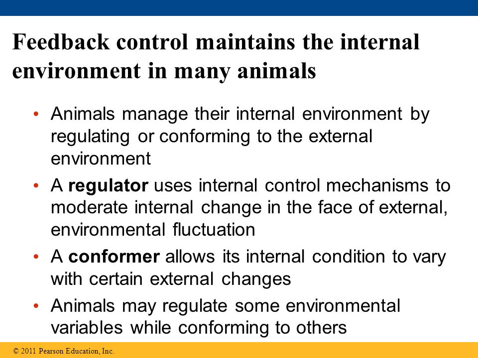 Feedback control maintains the internal environment in many animals