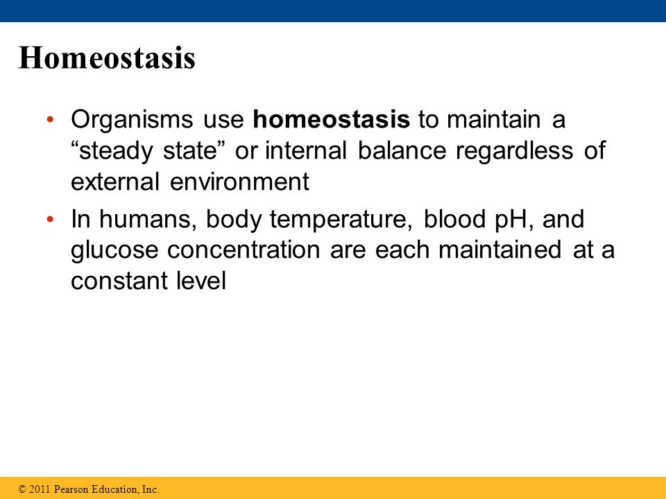 Homeostasis Organisms use homeostasis to maintain a steady state or internal balance regardless of external environment.