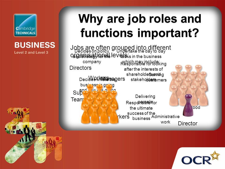 Why are job roles and functions important