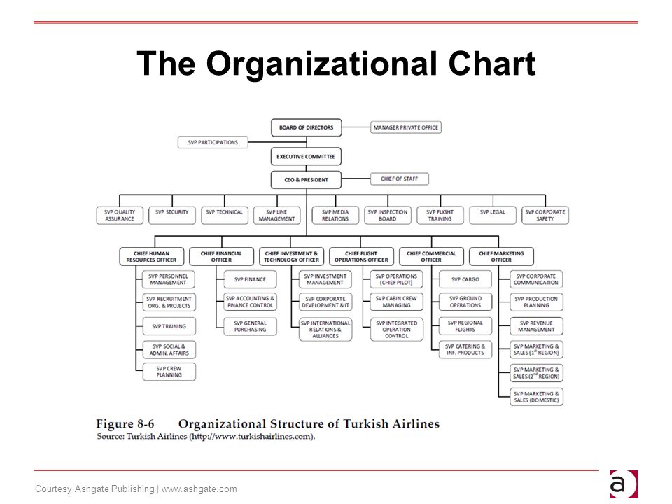 Airline Organizational Chart