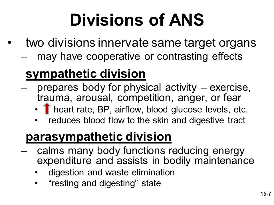 Divisions of ANS two divisions innervate same target organs