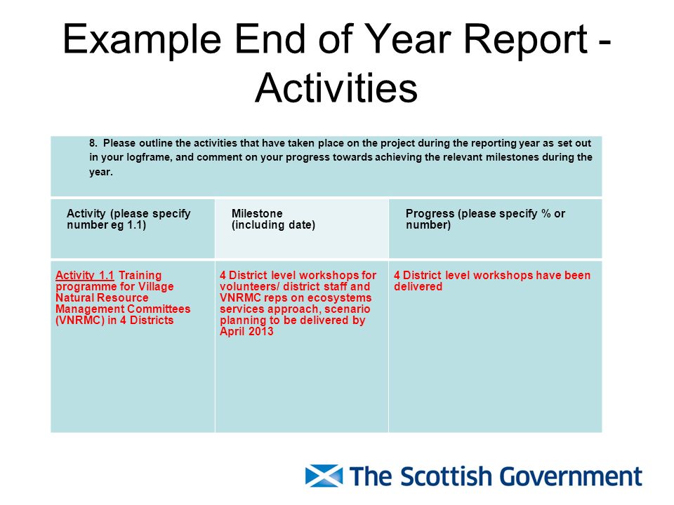 Example End of Year Report - Activities