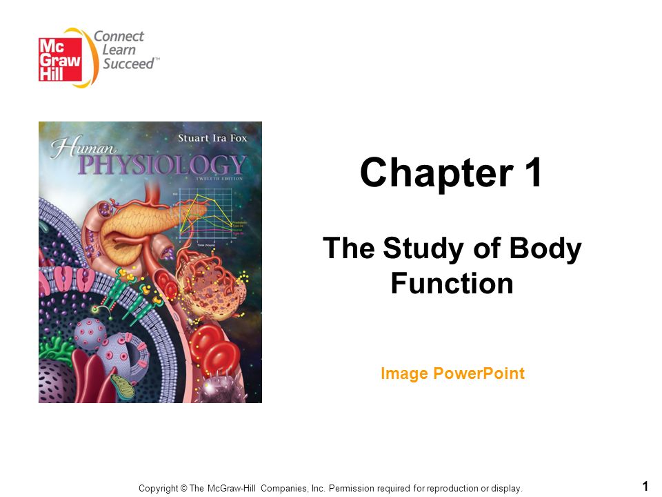 Chapter 1 The Study of Body Function Image PowerPoint