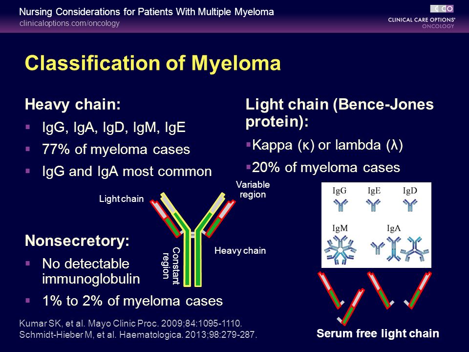 Overview of Multiple Myeloma - ppt download