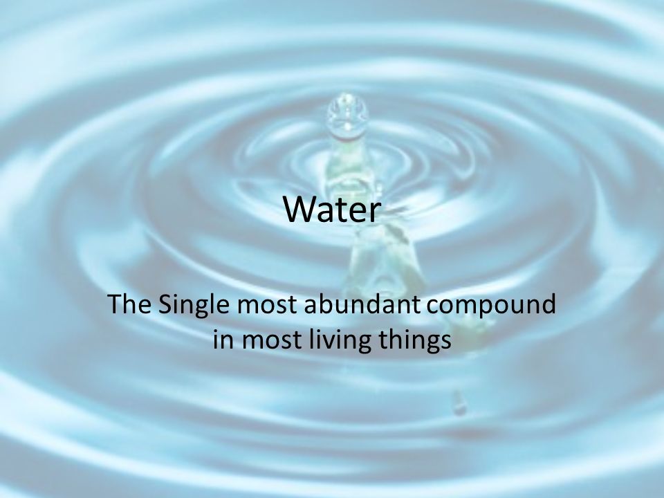 The Single most abundant compound in most living things